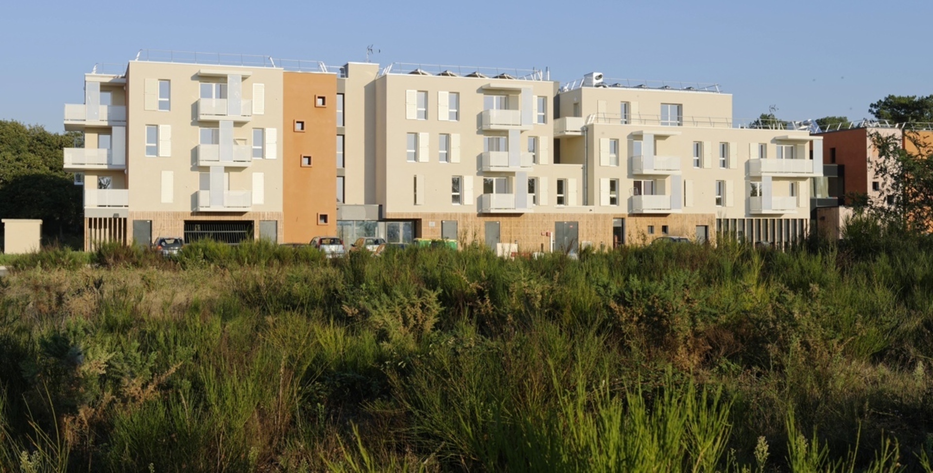 72_Le Mans_Rue Anna Politkovskaia.jpg